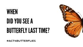 Act for Butterflies