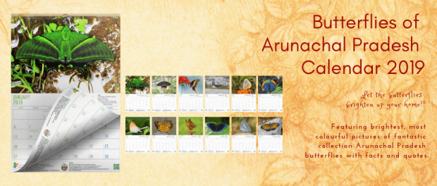 Butterflies of Arunachal Pradesh – 2019