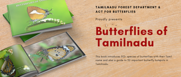 Butterflies of Tamilnadu – Hardcover Book